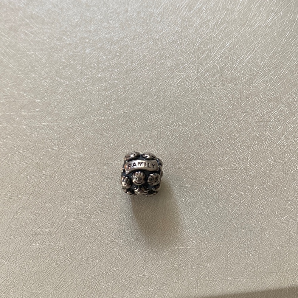 Pandora Love and Family Charm